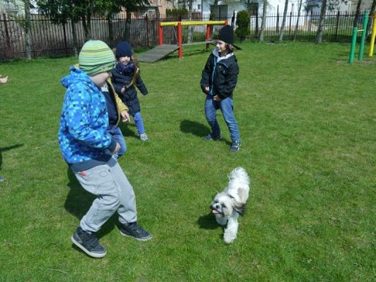  Grafika #5: Zwierzaki słodziaki grafika