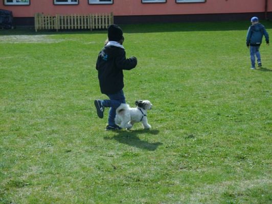  Grafika #6: Zwierzaki słodziaki grafika