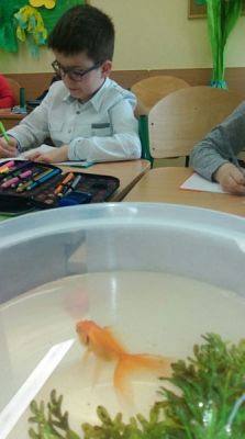  Grafika #8: Zwierzaki słodziaki grafika