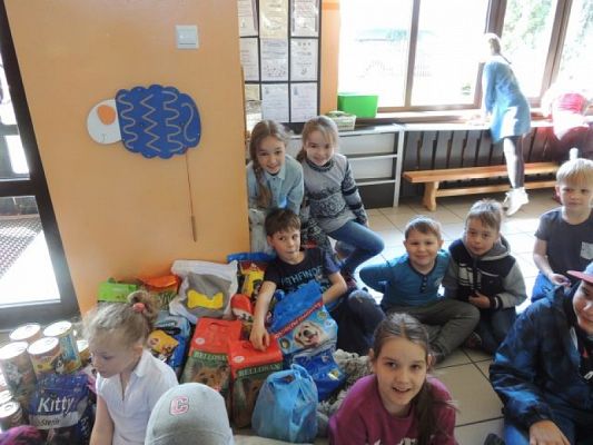  Grafika #0: Wizyta w schronisku dla zwierząt grafika