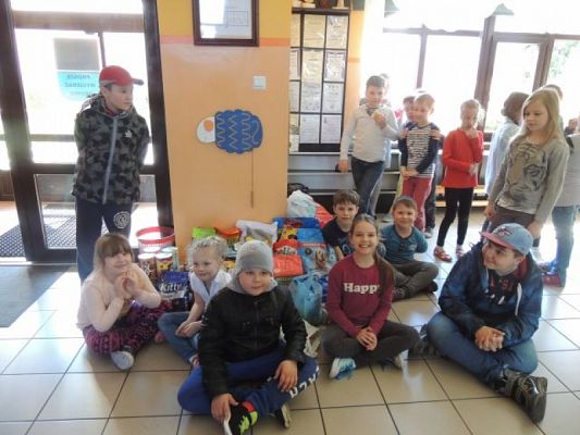  Grafika #2: Wizyta w schronisku dla zwierząt grafika