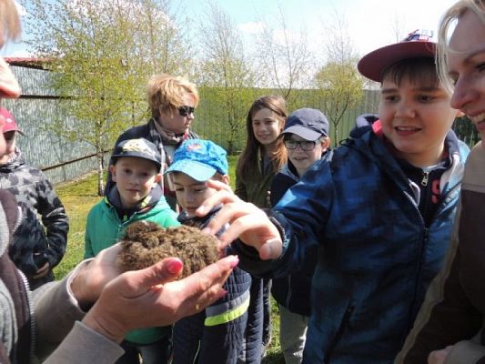  Grafika #7: Wizyta w schronisku dla zwierząt grafika