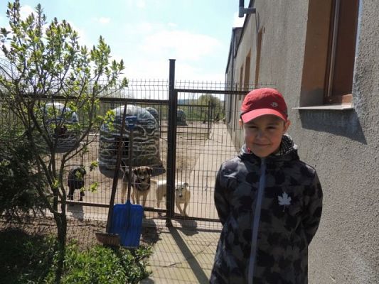  Grafika #6: Wizyta w schronisku dla zwierząt grafika