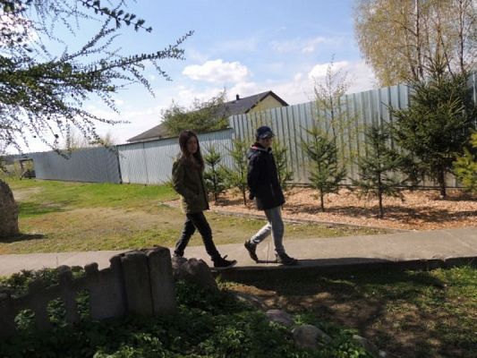  Grafika #8: Wizyta w schronisku dla zwierząt grafika