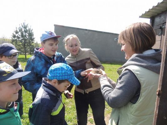  Grafika #9: Wizyta w schronisku dla zwierząt grafika