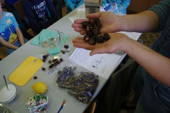  Grafika #14: I Ty możesz zostać ekologiem grafika