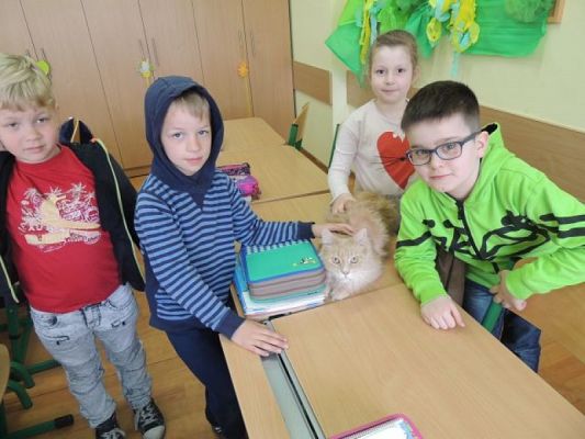  Grafika #6: Wyjątkowe zwierzaki u naszych pierwszaków grafika