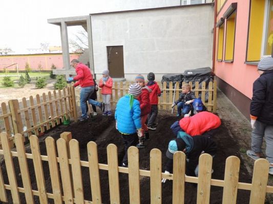  Grafika #0: Klasowy ogródek grafika