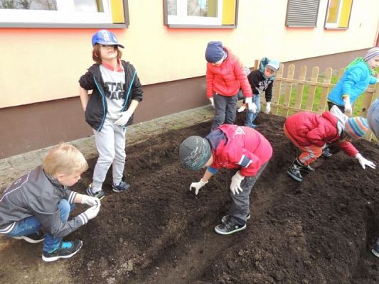  Grafika #1: Klasowy ogródek grafika