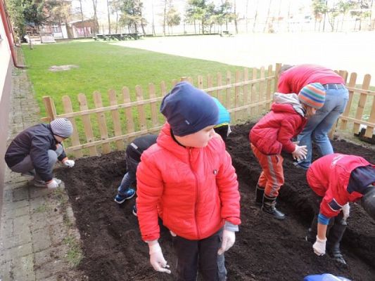  Grafika #2: Klasowy ogródek grafika