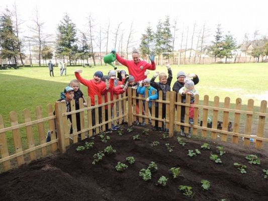  Grafika #4: Klasowy ogródek grafika