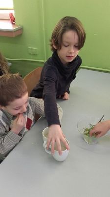  Grafika #6: Pysznie, zdrowoowocowo grafika