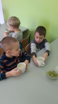  Grafika #8: Pysznie, zdrowoowocowo grafika