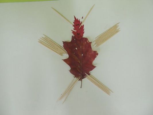  Grafika #11: Z darów jesieni grafika