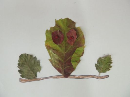  Grafika #12: Z darów jesieni grafika