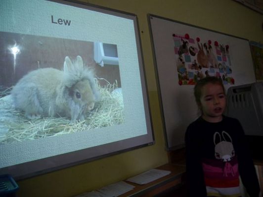  Grafika #1: Nietypowi goście w IIIb grafika