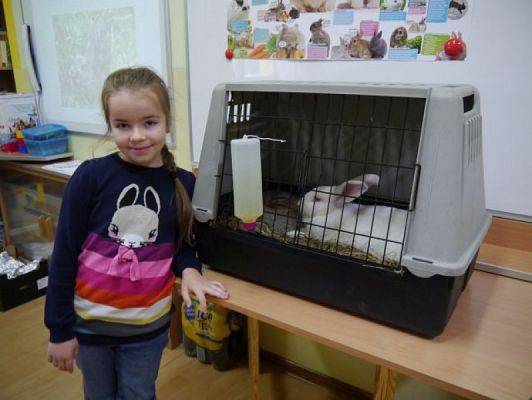  Grafika #0: Nietypowi goście w IIIb grafika