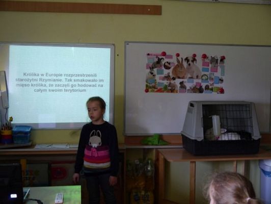  Grafika #2: Nietypowi goście w IIIb grafika