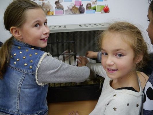  Grafika #4: Nietypowi goście w IIIb grafika