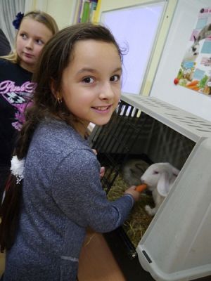  Grafika #5: Nietypowi goście w IIIb grafika