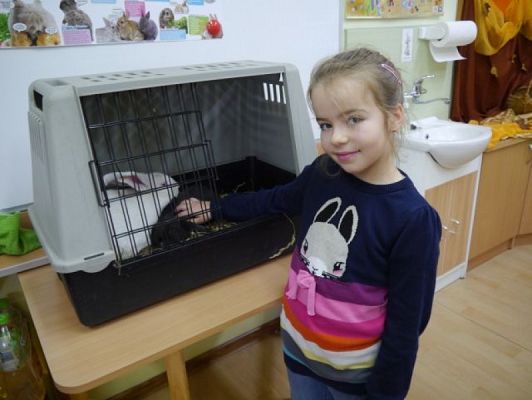  Grafika #7: Nietypowi goście w IIIb grafika