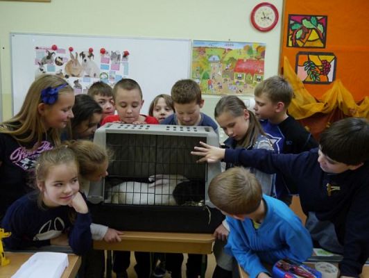  Grafika #8: Nietypowi goście w IIIb grafika