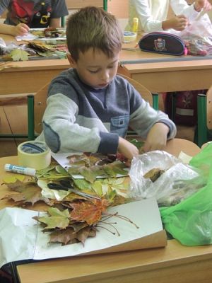  Grafika #13: Zjawiskowe liściaki grafika