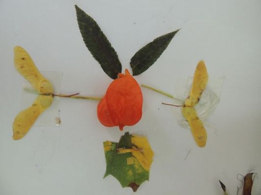  Grafika #18: Zjawiskowe liściaki grafika