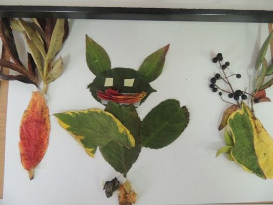  Grafika #19: Zjawiskowe liściaki grafika