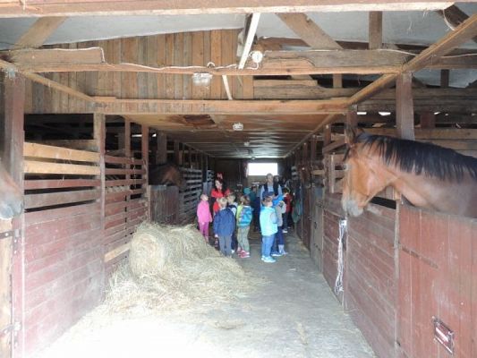  Grafika #9: Wycieczka integracyjna klas I do Runowa grafika