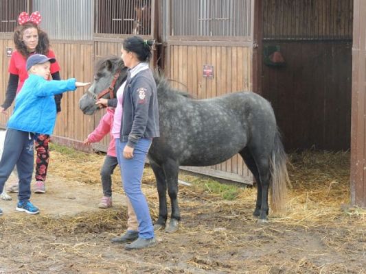  Grafika #10: Wycieczka integracyjna klas I do Runowa grafika