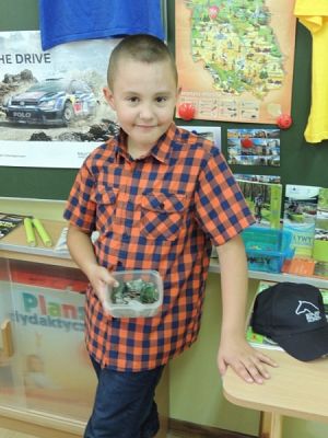  Grafika #19: Jak zatrzymać lato? grafika