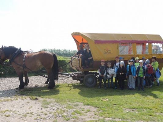  Grafika #0: PIERWSZAKI U ,,JĘDRUSIA W SŁAJSZEWIE grafika