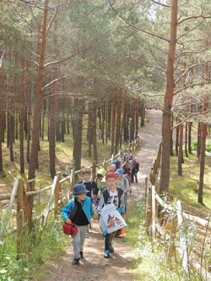  Grafika #4: PIERWSZAKI U ,,JĘDRUSIA W SŁAJSZEWIE grafika