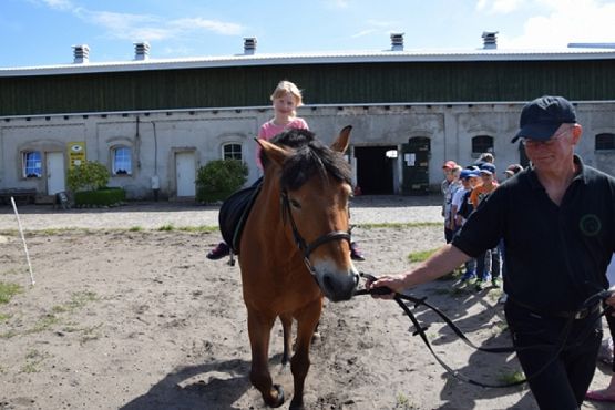  Grafika #0: WYCIECZKA KLASY II DO NOWĘCINA I SARBSKA grafika