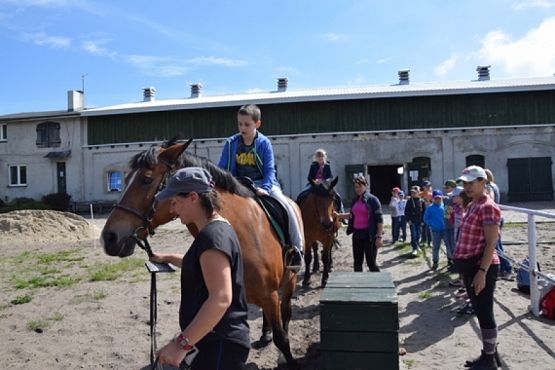  Grafika #1: WYCIECZKA KLASY II DO NOWĘCINA I SARBSKA grafika