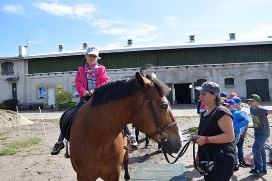  Grafika #2: WYCIECZKA KLASY II DO NOWĘCINA I SARBSKA grafika