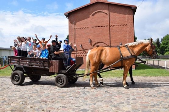  Grafika #7: WYCIECZKA KLASY II DO NOWĘCINA I SARBSKA grafika