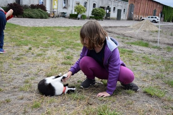  Grafika #8: WYCIECZKA KLASY II DO NOWĘCINA I SARBSKA grafika