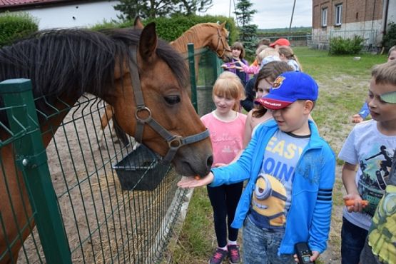  Grafika #10: WYCIECZKA KLASY II DO NOWĘCINA I SARBSKA grafika