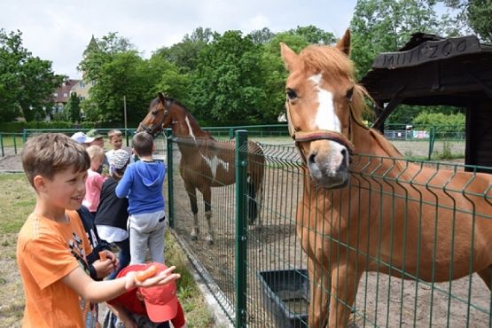  Grafika #11: WYCIECZKA KLASY II DO NOWĘCINA I SARBSKA grafika
