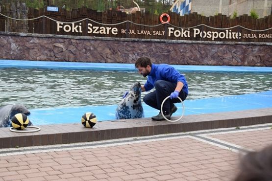  Grafika #12: WYCIECZKA KLASY II DO NOWĘCINA I SARBSKA grafika