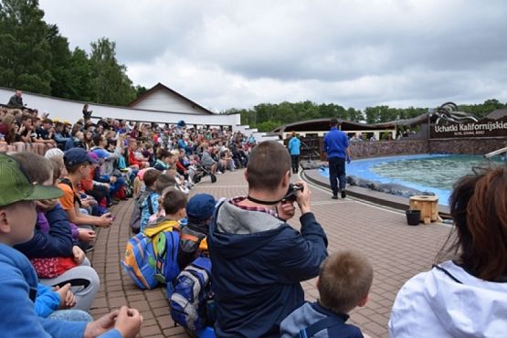  Grafika #16: WYCIECZKA KLASY II DO NOWĘCINA I SARBSKA grafika