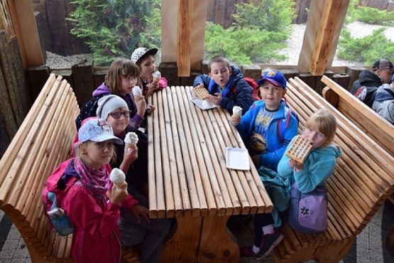  Grafika #18: WYCIECZKA KLASY II DO NOWĘCINA I SARBSKA grafika