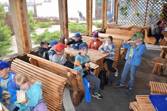  Grafika #22: WYCIECZKA KLASY II DO NOWĘCINA I SARBSKA grafika