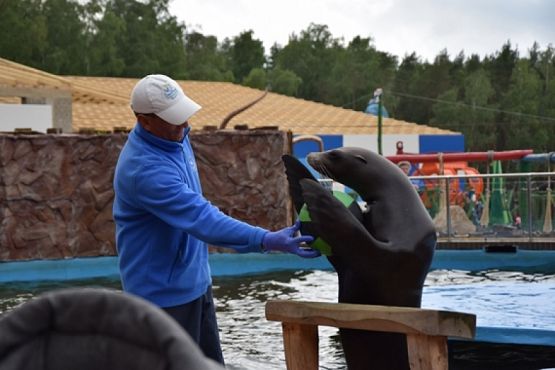  Grafika #23: WYCIECZKA KLASY II DO NOWĘCINA I SARBSKA grafika