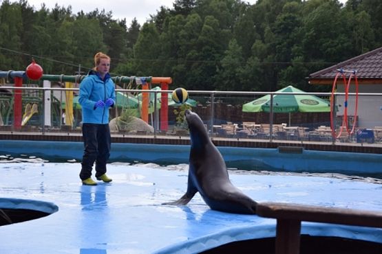  Grafika #24: WYCIECZKA KLASY II DO NOWĘCINA I SARBSKA grafika