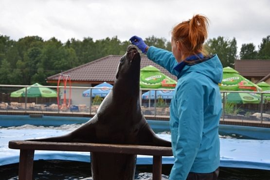  Grafika #25: WYCIECZKA KLASY II DO NOWĘCINA I SARBSKA grafika