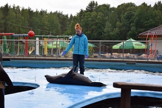  Grafika #26: WYCIECZKA KLASY II DO NOWĘCINA I SARBSKA grafika