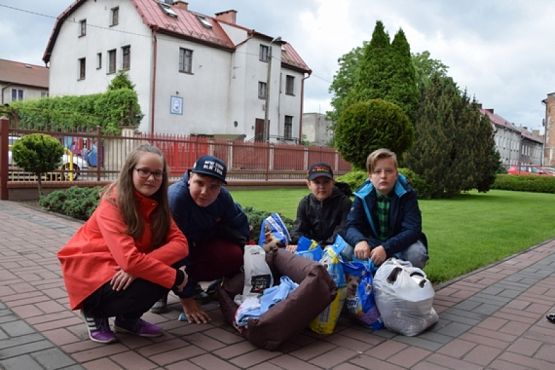  Grafika #1: ZBIÓRKA DLA SCHRONISKA grafika